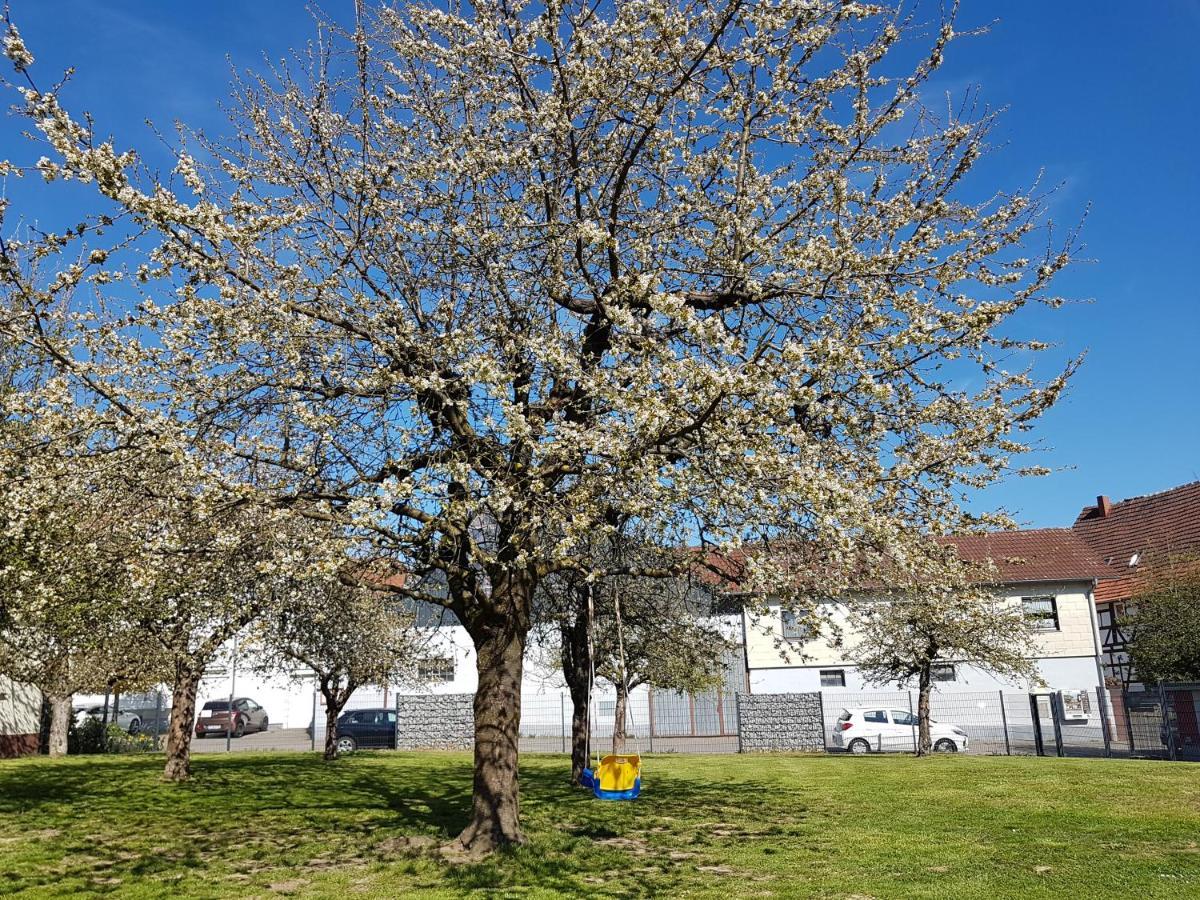 Ferienwohnung/Monteurwohnung Im Schoenen Odenwald Mörlenbach Zewnętrze zdjęcie